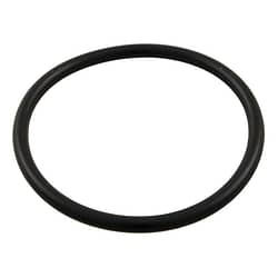 Aqua-Flo Circ Master union o'ring