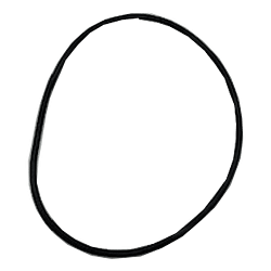 Sundance 2" Diverter Lid O'Ring
