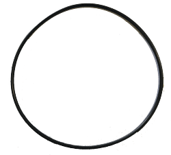 Piranha Boost Pump Body O'Ring