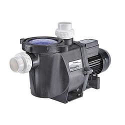 Pentair WhisperFlo 1100W Pump
