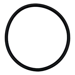 Astral/Hurlcon Pump Lid O'ring