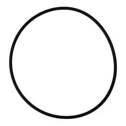 Davey Spa-Quip Series 2000/Easy Clear/EcoPure Filter Lid O'ring