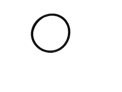 Pulsar/2095 element O'ring