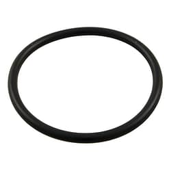 Aqua-Flo XP2/XP2e and Waterway Pump Union O'ring