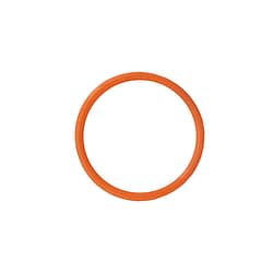 Astral / Hurlcon Media Filter 50mm O'ring Union to Valve